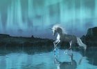 オーロラとユニコーン  Vueの大気設定でオーロラを製作してみました。いろいろ迷ったのですが、最終的にユニコーンを配置して作品として仕上げました。ユニコーンの鬣は手書きです。（2010年1月製作）  使用ソフト　Poser7J　Vue7infinite　Gimpペインター｜クレジット　LB Fantasy Unicorns（DAZ）　CWRW The Elegant Equine（RMP）　SeaVue（3Dcouume）