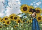 Summer Letter  Forum　3Dのお題でレンダ■書中見舞いで製作した作品です。（2007年8月製作）  使用ソフト　Vue 6　Poser7　Shade8.5　PaintShopPro｜クレジット　V4 Teen Ashley - Mega Pack　V4 Summer Fashion　Hat Pack（DAZ）